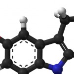 serotonin