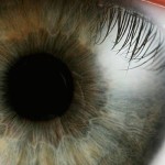 eye anatomy featured