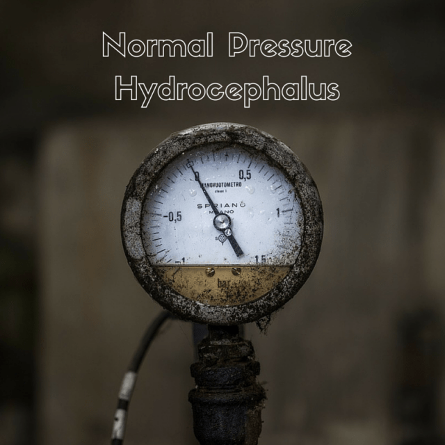 normal pressure hydrocephalus